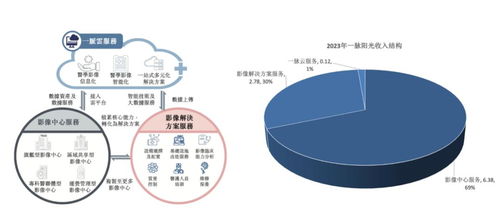 稀缺標(biāo)的港股上市 醫(yī)學(xué)影像第一股邁入高增長，互聯(lián)網(wǎng)數(shù)據(jù)服務(wù)助力新篇章